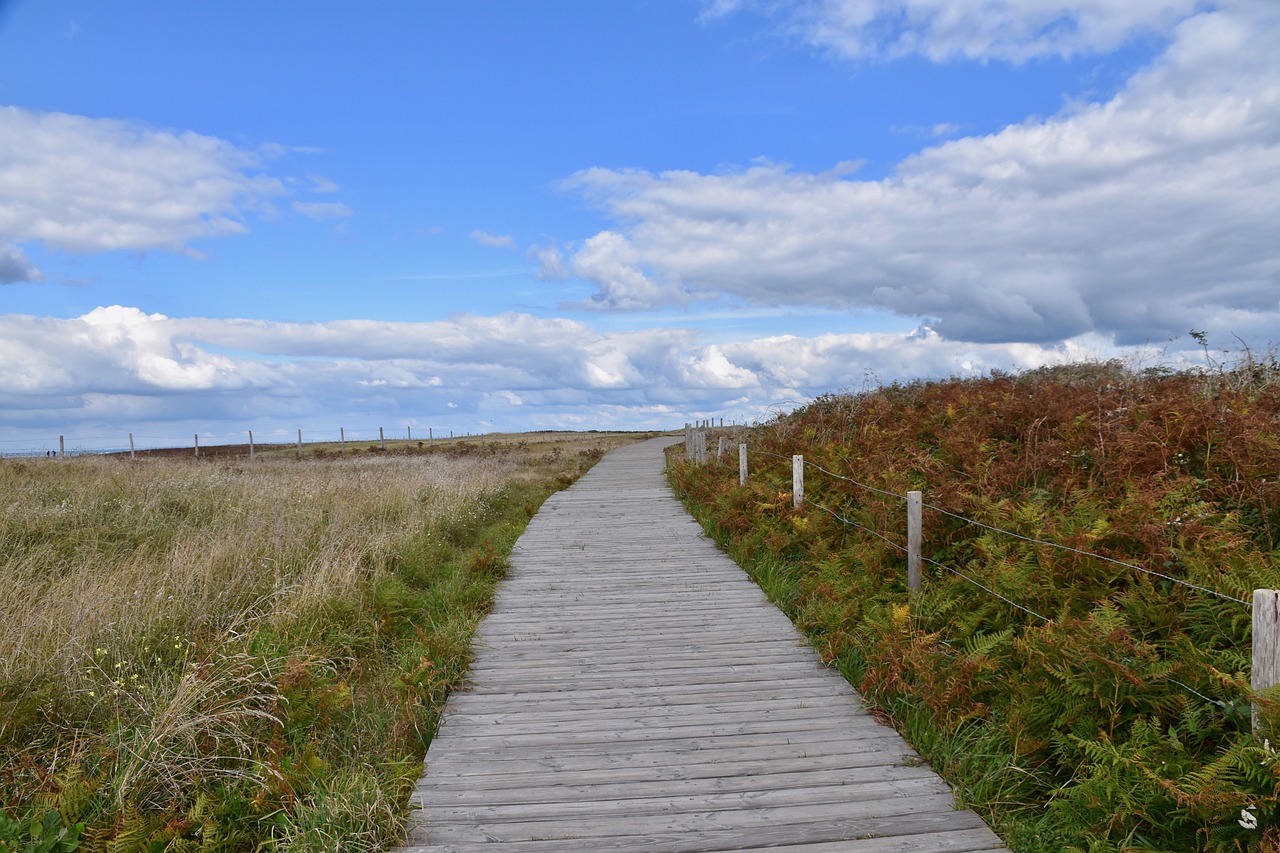 path, gone coastal wooden, île saint nicolas-4474999.jpg